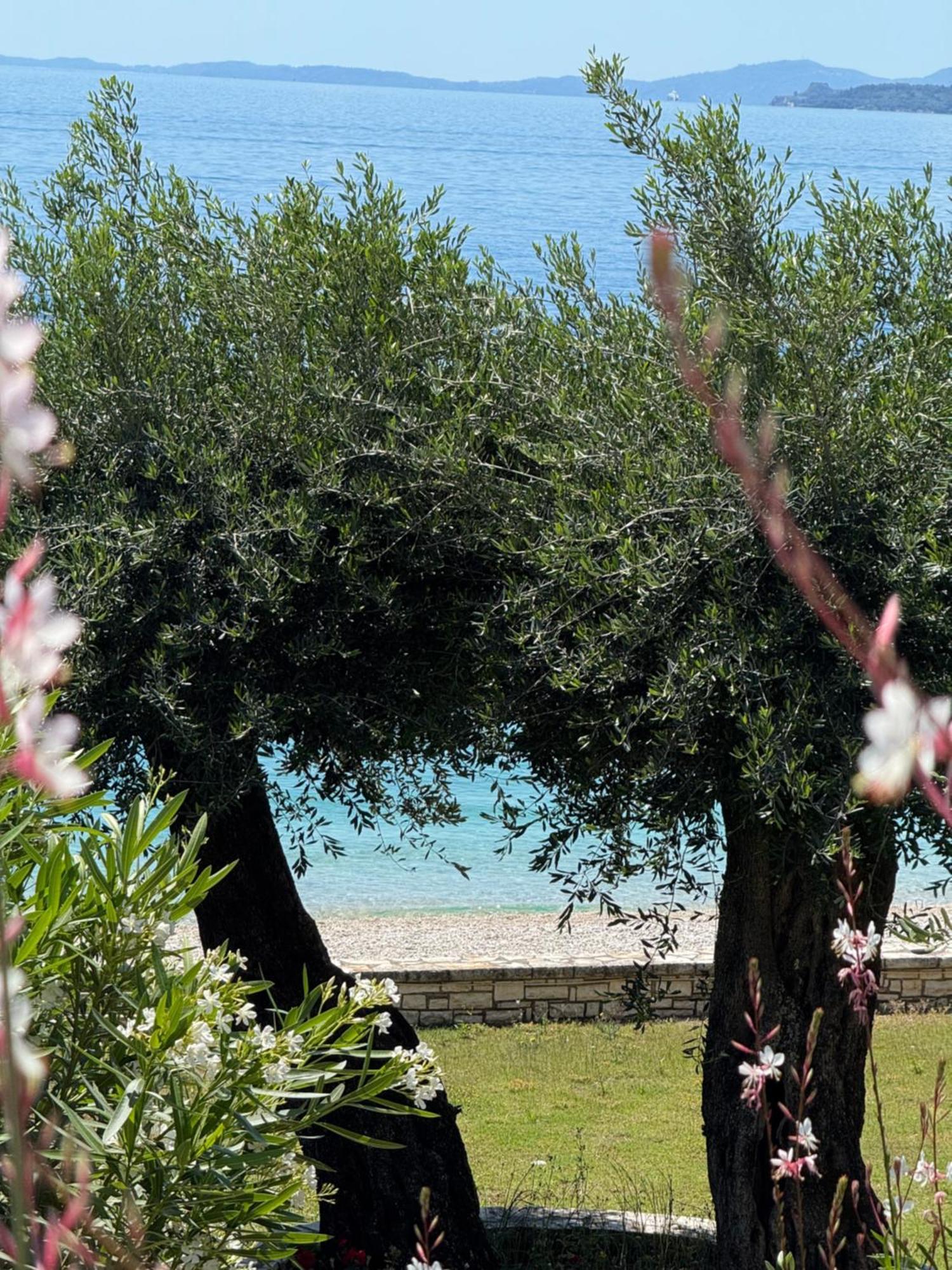Nissaki Bay *