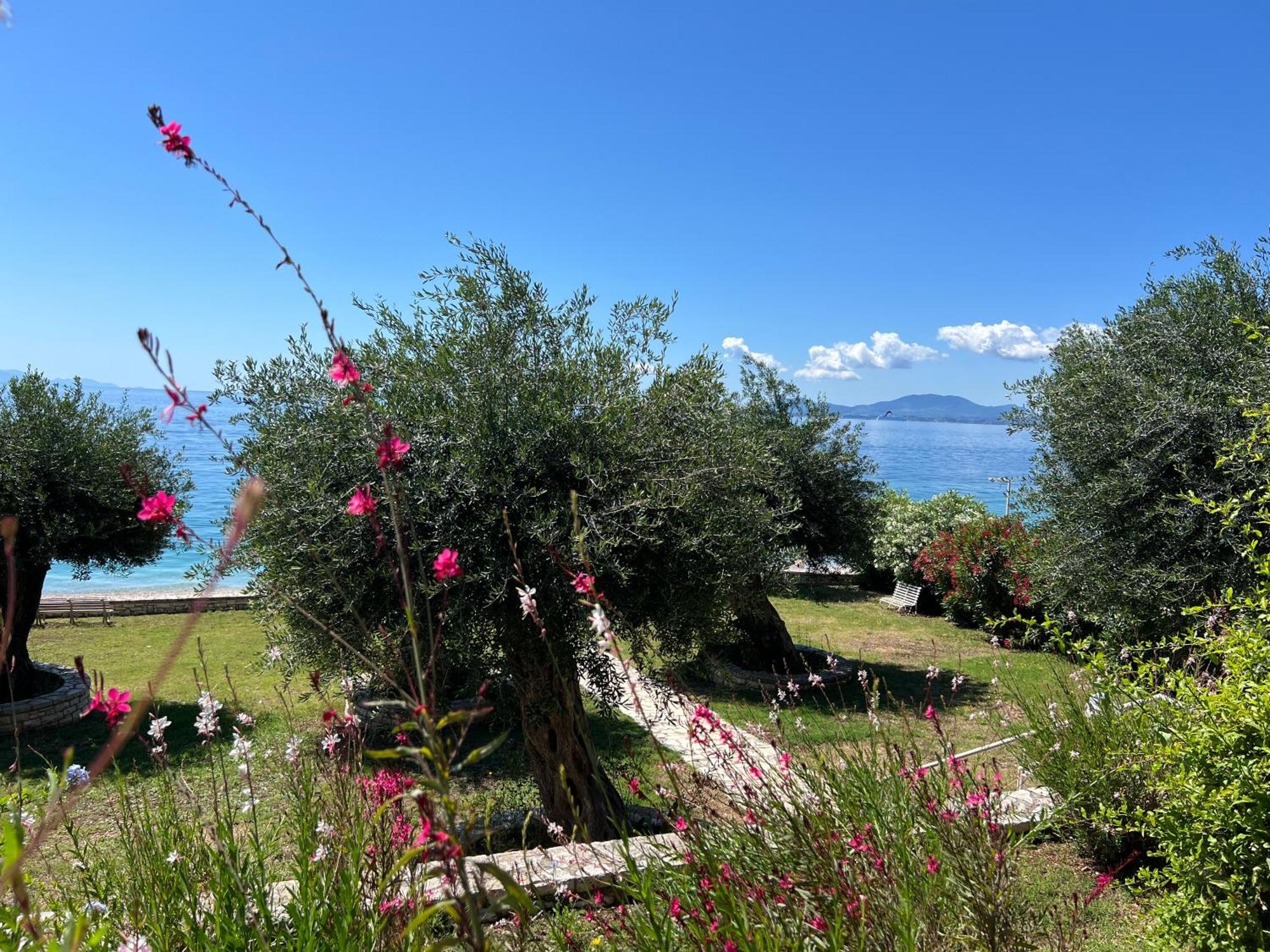 Nissaki Bay Nisaki (Corfu)